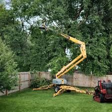 Best Lawn Renovation and Restoration  in Kent, WA